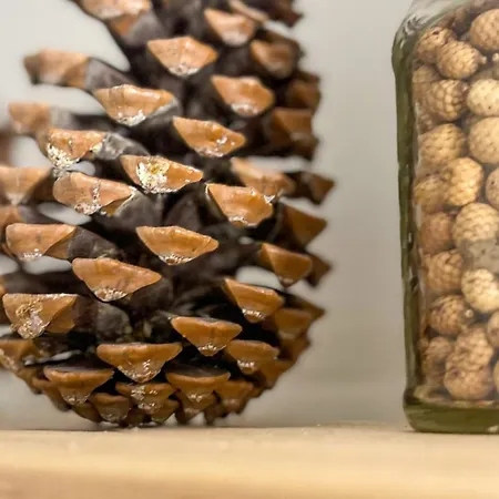 Loft Ideal Parejas En Enveitg